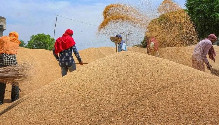Farmers at a wheat collection point. -File photo