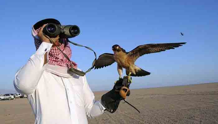 An Arab national in Pakistan on a hunting mission in Pakistan. -File photo