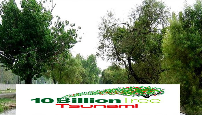 Pakistan needs $2.5b to pursue green initiatives in next decade