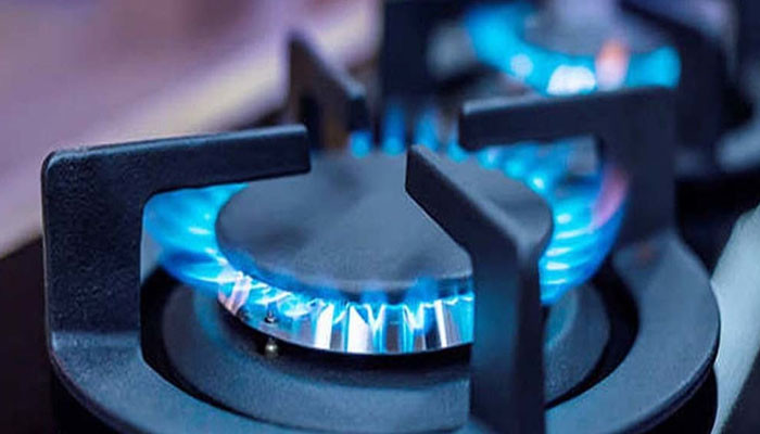 ‘Government’s indecision on gas supply hampering trade’