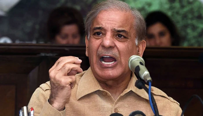 Will apologise, go home if son’s graft proved, says Shehbaz
