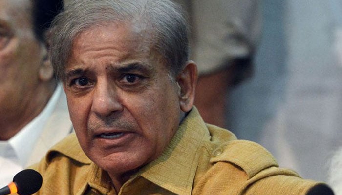 Under Rule 145, Opposition plans to get Peca law repealed: Shehbaz Sharif