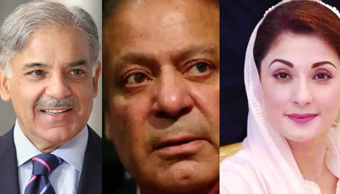 Shehbaz Sharif, Maryam say Nawaz vindicated, Moussavi statement ‘a slap in Imran’s face’