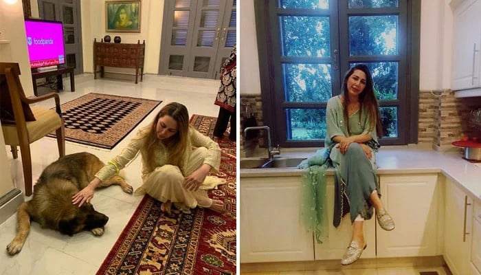 Farah's declared wealth up by four times during Imran's rule - Vimarsana News