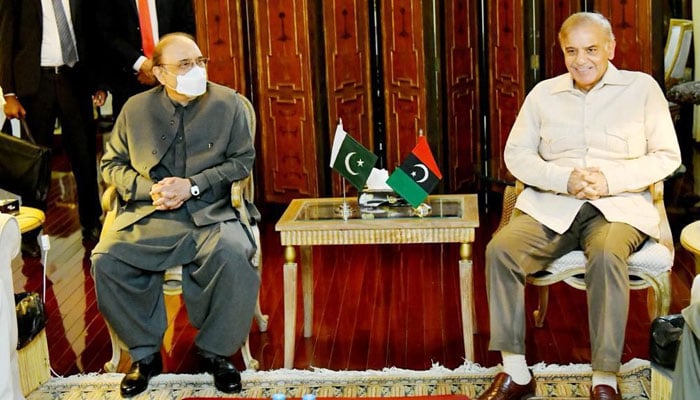 Prime Minister Shehbaz Sharif meeting with President PPP Asif Ali Zardari. Photo: PID