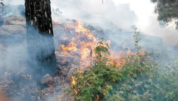 Meeting discusses prevention of forest fires - Vimarsana News