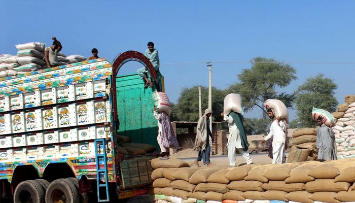 1,906 tonnes seized wheat shifted to procurement centre
