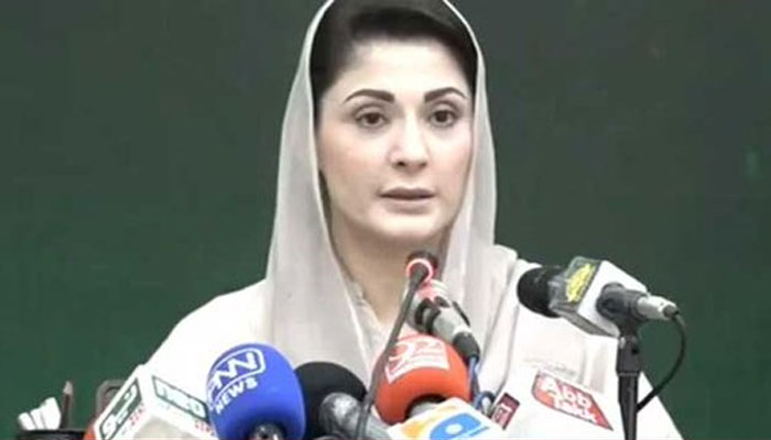 PML-N Vice-President Maryam Nawaz. Photo: Screengrab of a Twitter video