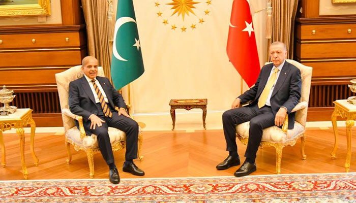 PM Shehbaz meeting President Erdogan at the Presidential Palace, Ankara on June 01, 2022. Photo: PID