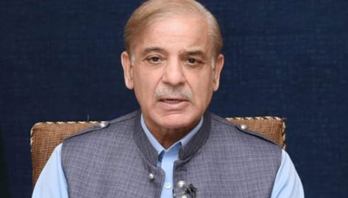 Prime Minister Shehbaz Sharif. Photo: The News/File