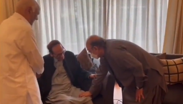 PPP supremo Asif Zardari meets PML-Q President Chaudhry Shujaat Hussain. Screengrab