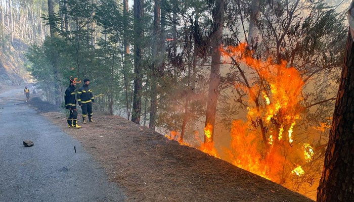 The Rescue 1122 workers seen busy firefighting in a forest near Shimla Hill area near Abbottabad on May 6, 2022. Photo: ONLINE