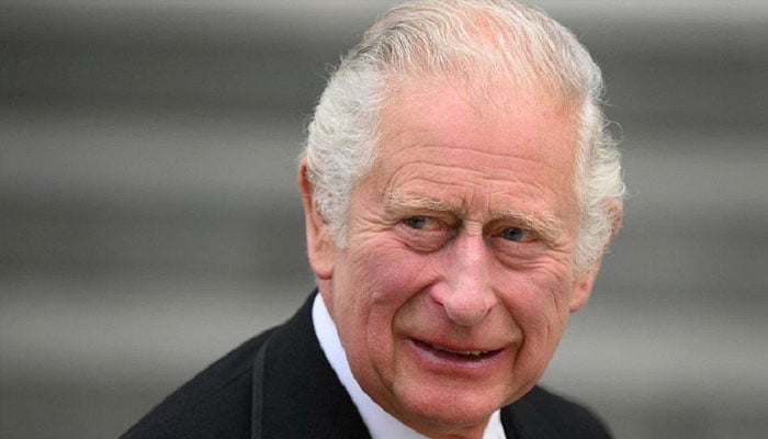 Prince Charles gets bagful of cash from Qatar for charity: report
