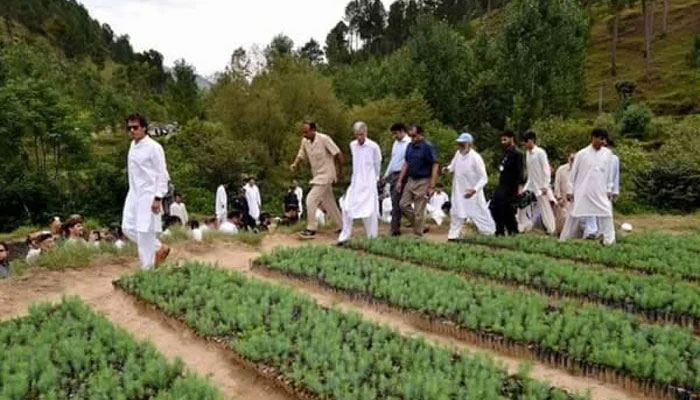 In this file photo, ex-PM Imran Khan is seen inspecting the billion tree project in Khyber Pakhtunkhwa. Photo: The News/File