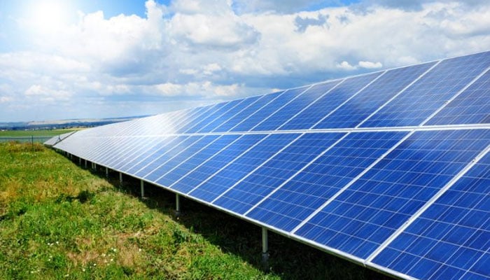 Solar panels. Photo: The News/File