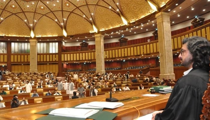 Dupty Speaker Dost Mohammad Mazari chairs a session of Punjab Assembly. -APP/File