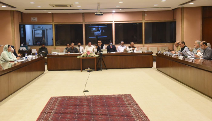 Noor Alam chairing the PAC meeting in Islamabad on July 6, 2022. Photo: Twitter
