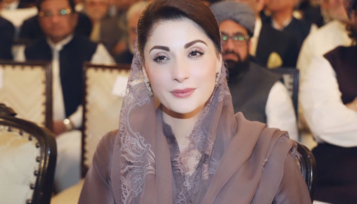 PMLN Central Vice President Maryam Nawaz. File photo