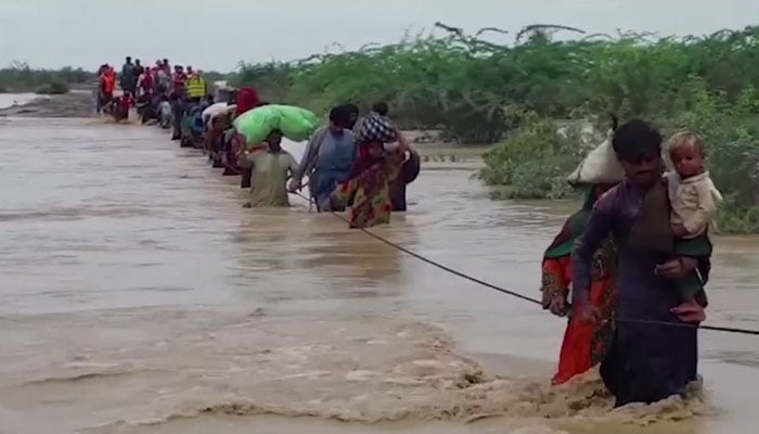 People displaced by flash floods are moving to safer places. Photo: Screengrab of a Twitter video