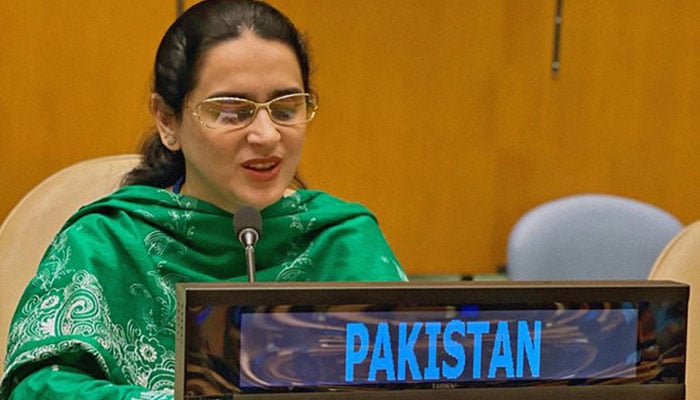 Saima Saleem, Pakistan’s first visually-impaired diplomat in New York. Screengrab of a Youtube video.