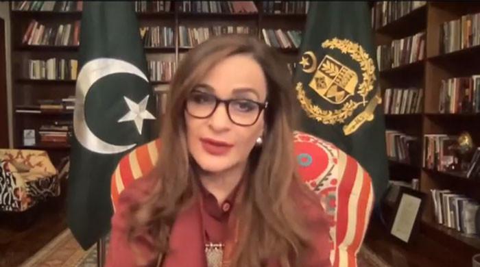 Sherry Rajput Over $10bn needed for rebuilding, rehabilitation: Sherry