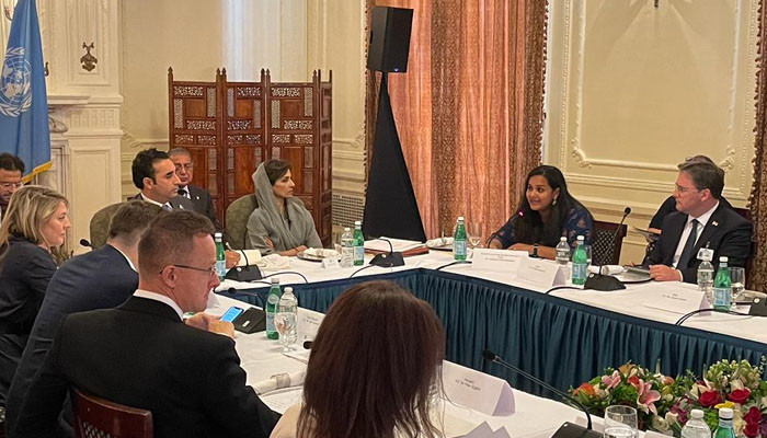 Bilawal chairs young foreign ministers summit in New York - Vimarsana News