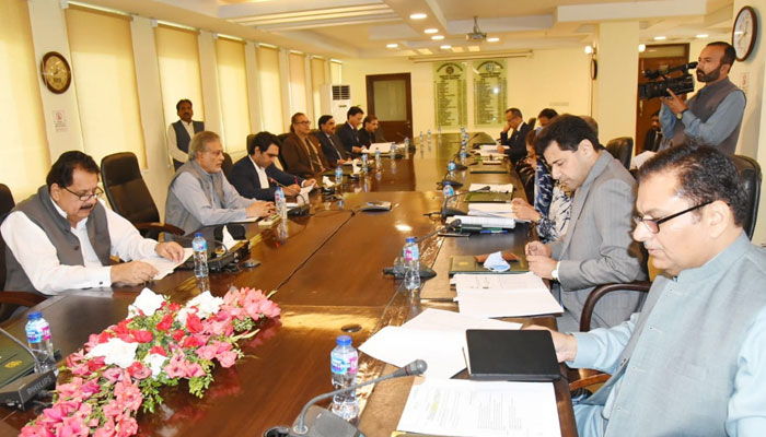 The ECC of the Cabinet meeting under Ishaq Dar on October 17. Twitter/FinMinistryPak