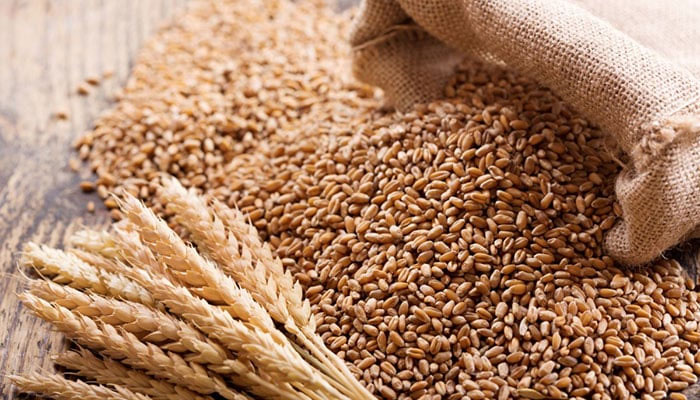 Representational image of wheat