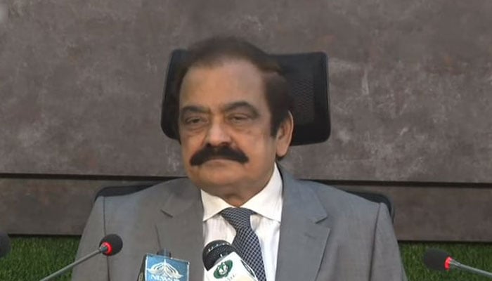 Minister for Interior Rana Sanaullah. Screenshot of Twitter video
