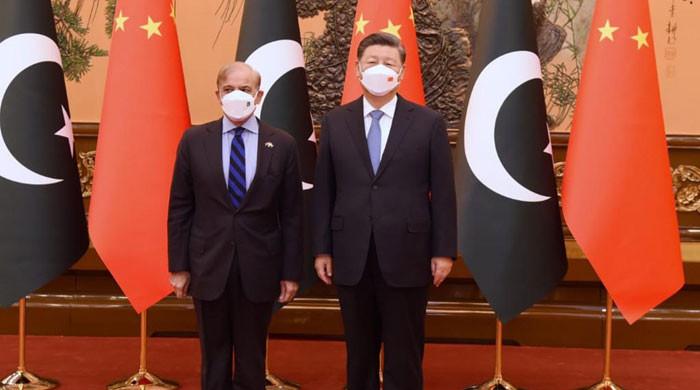 Xi assures Pakistan of support for strategic projects
