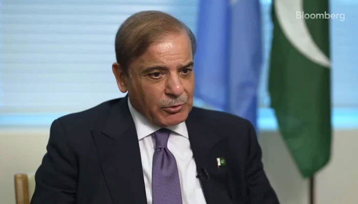 PM Shehbaz Sharif to visit Egypt tomorrow - Vimarsana News