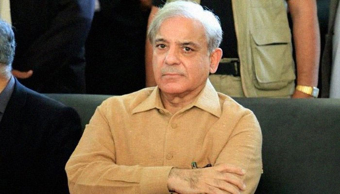 PM Shehbaz Sharif. The News/File