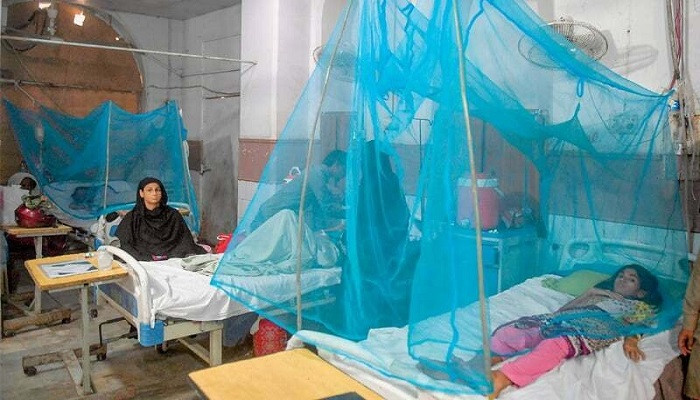 Climate change impact: 'Harmless' mosquito species now spreading malaria in Pakistan, say scientists - Vimarsana News