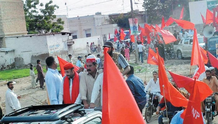ANP supporters carrying party flags. — APP/File
