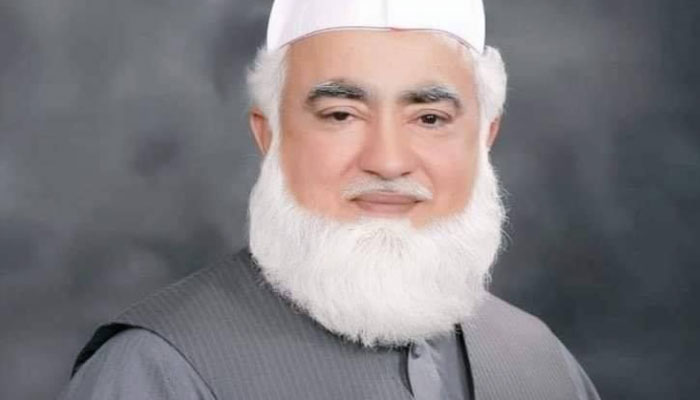 Former PMLN MNA Pir Amin Al-Hasnaat Shah. Facebook