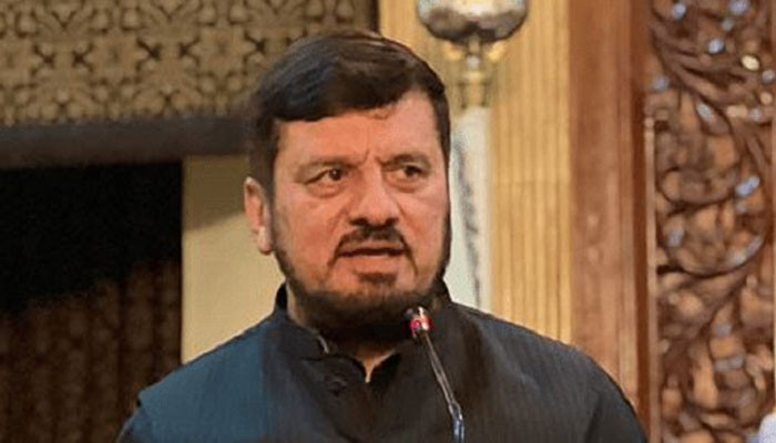 Governors ask ECP to set polls date after consultations - Vimarsana News