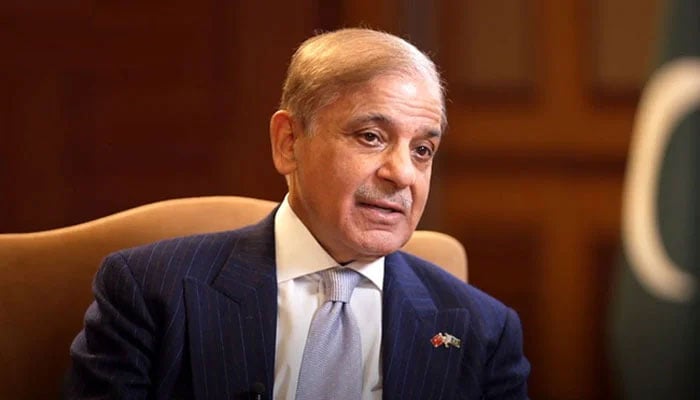 PM Shehbaz Sharif. PID/file