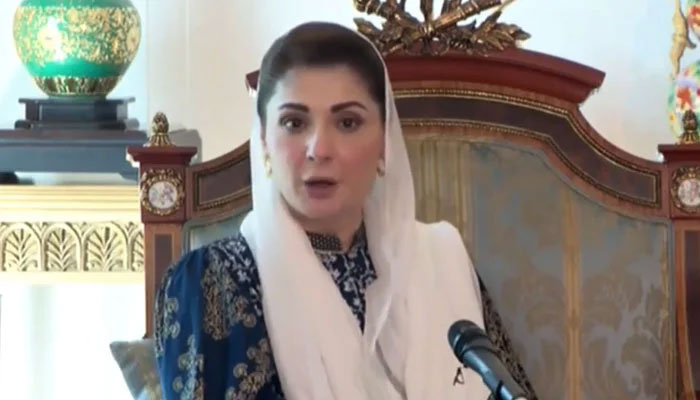 Pakistan Muslim League-Nawaz (PML-N) Senior Vice President Maryam Nawaz speaks to a delegation of her partys lawyers wing on March 26, 2023, in this still taken from a video. — Twitter/ @pmln_org