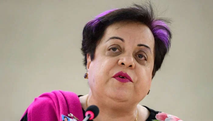 PTI Senior Vice-President Dr Shireen Mazari. Twitter