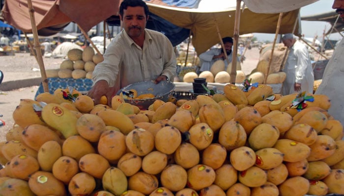 Mango production to fall by 20pc due to harsh weather. AFP/File