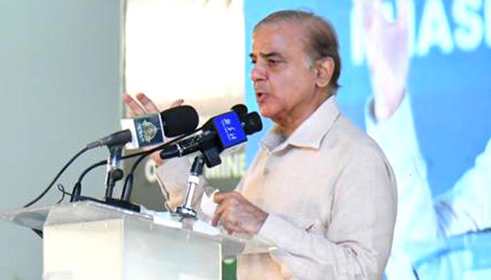 Prime Minister Shehbaz Sharif photographed on October 10, 2022. PID