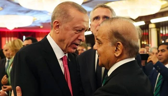 Prime Minister Shehbaz Sharif meets Turkey President Recep Tayyip Erdogan in Anakara on June 4, 2023. — Twitter/@PakPMO