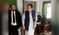 Elahi gets bail in illegal appointments case