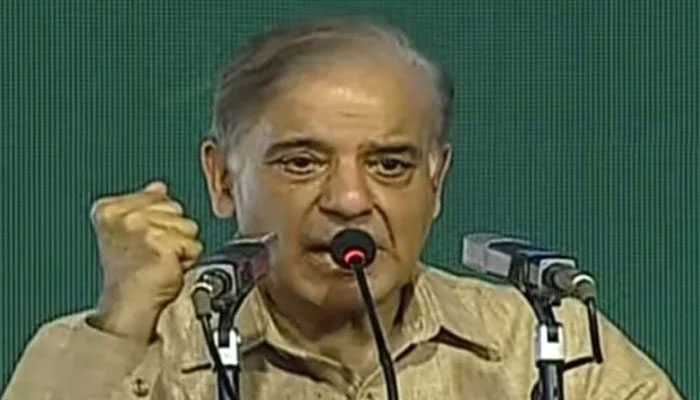 Prime Minister Shehbaz Sharif addressing a ceremony in Faisalabad on July 23, 2023. — YouTube/Geo News