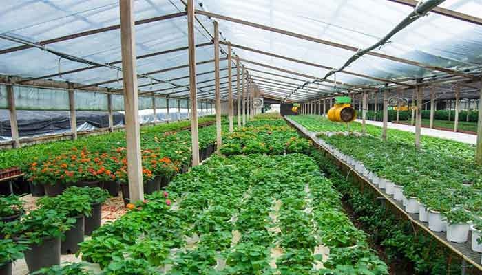 Corporate farming by defence forces gets a jumpstart. -The News/file