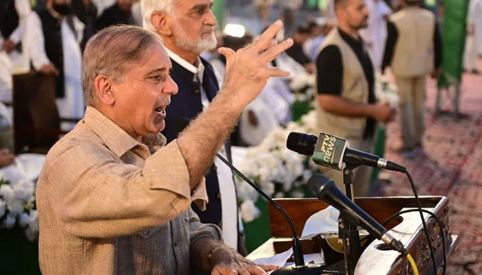 Prime Minister Shehbaz Sharif addresses the public gathering in Kasur on August 6, 2023. — PID