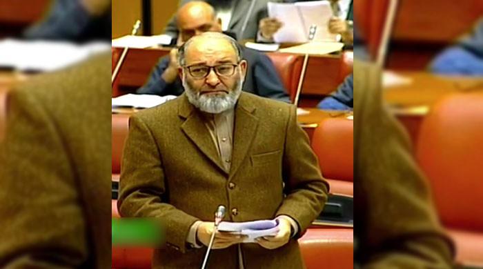 Senate passes resolution for elections on time - Vimarsana News