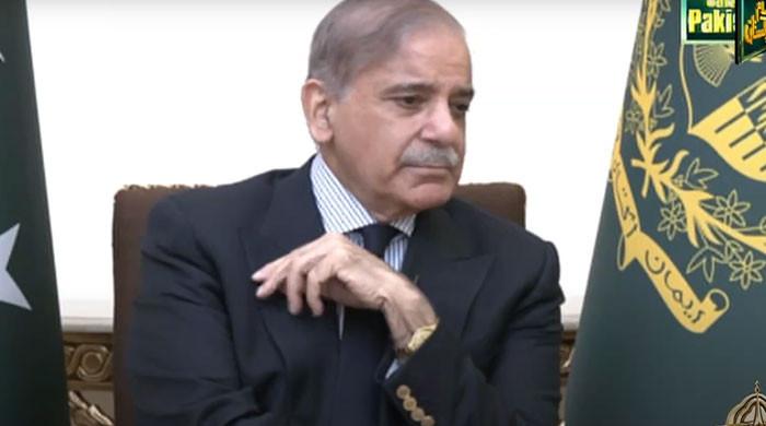 PM Shehbaz deplores ruling after SC axe falls on review law - Vimarsana News