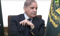 Proud of being apple of establishment’s eye: Shehbaz