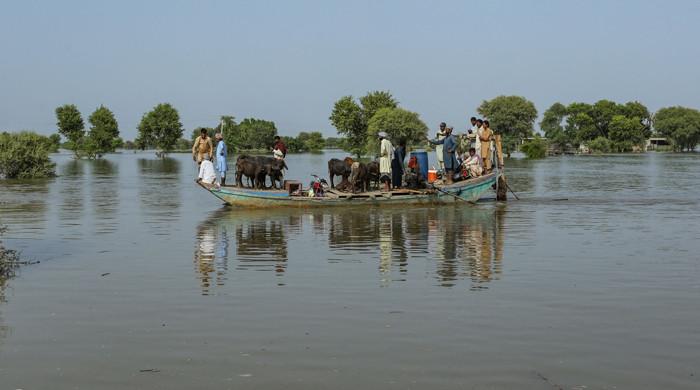 High flood in Sutlej River inundates villages, farmlands - Vimarsana News